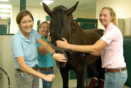 Video endoscopy
