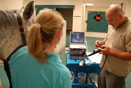 Endoscopy of the gastrointestinal tract
