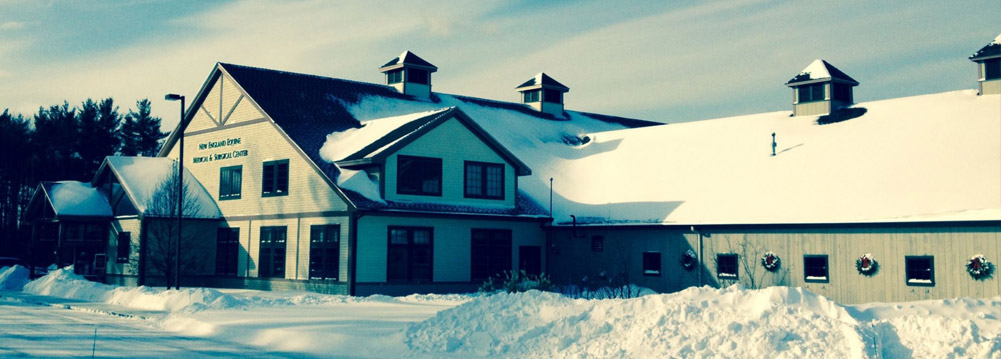 New England Equine Surgical And Medical Center Equine Clinic In