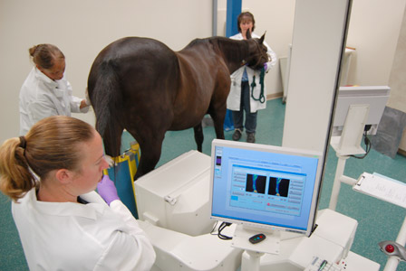 Radionuclide imaging